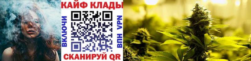 Купить закладку Мончегорск COCAIN  Псилоцибиновые грибы  ГАШ 