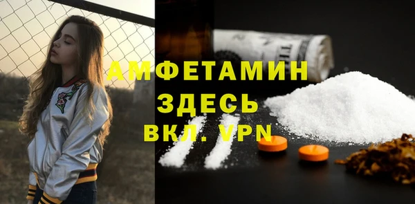 прущий лед Бородино