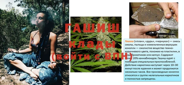 прущий лед Бородино