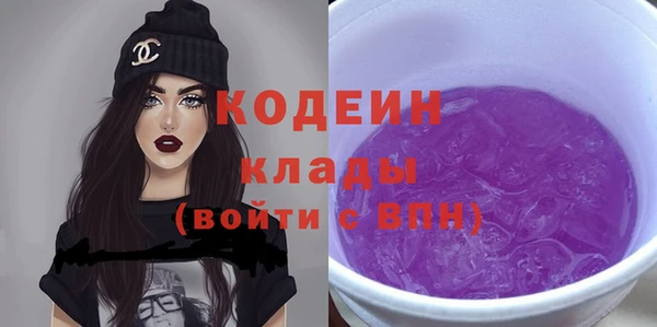 прущий лед Бородино