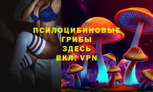 прущий лед Бородино