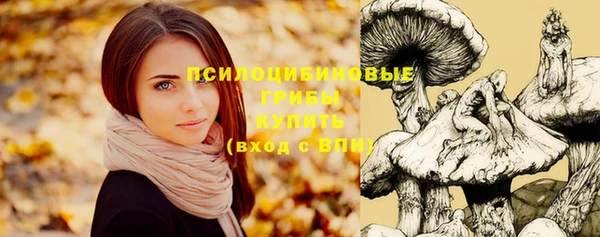 Альфа ПВП Бугульма