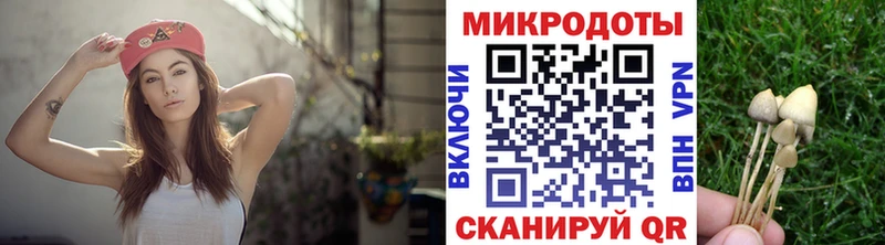 Галлюциногенные грибы Magic Shrooms Мончегорск