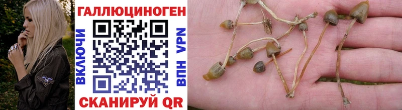 купить наркотик  это официальный сайт  Псилоцибиновые грибы прущие грибы  Мончегорск 